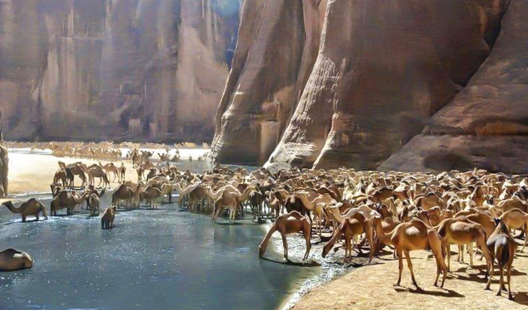 WADI EL GEMAL EXCURSIONS IN MARSA ALAM